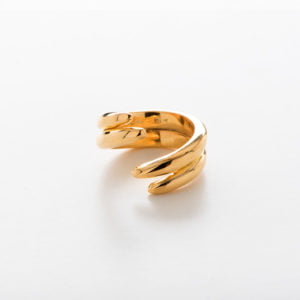 14-08-gpld-ring